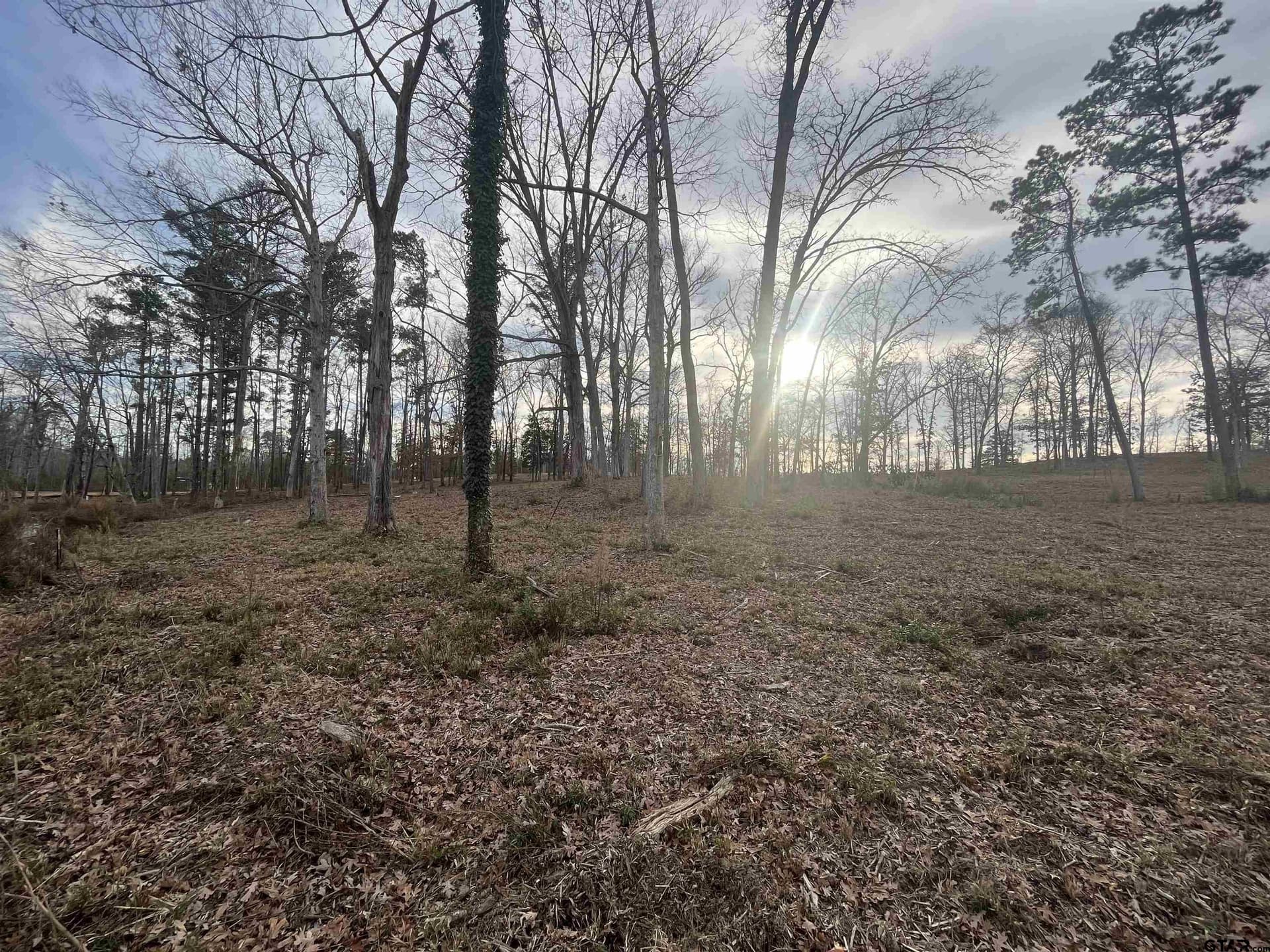 1.16 acres in Harrison County - photo 17