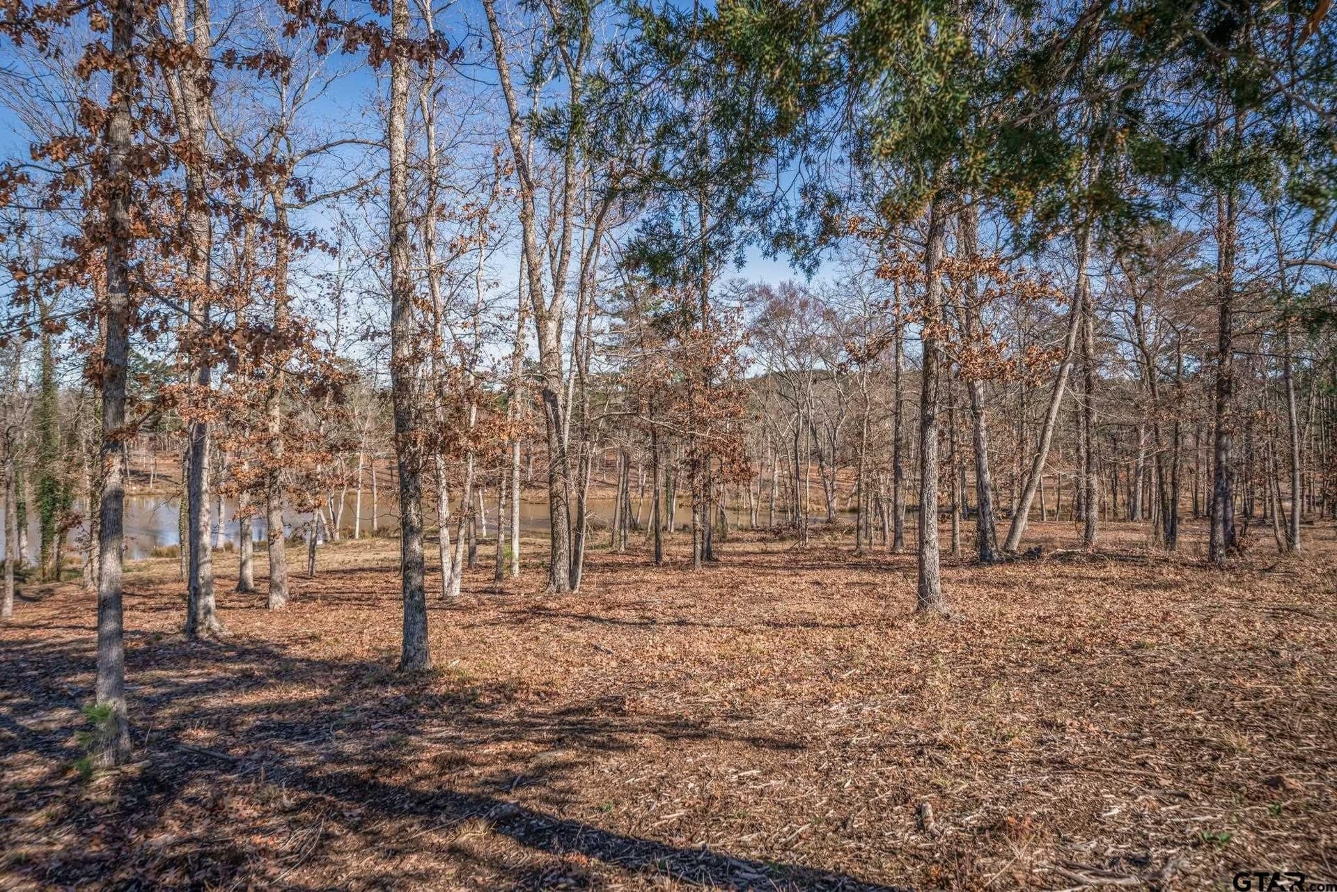 1.16 acres in Harrison County - photo 19