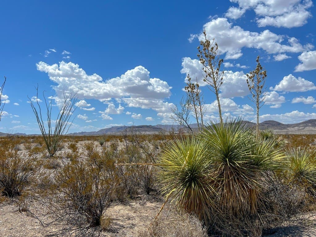 5 acres in Brewster County - photo 4