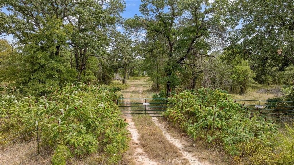 10.8 acres in Erath County - photo 14