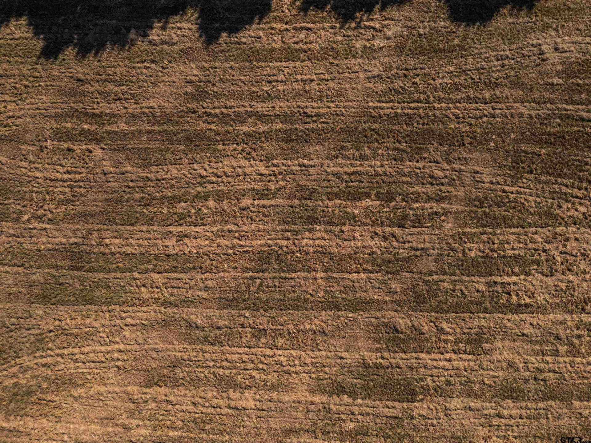 1.03 acres in Upshur County - photo 9