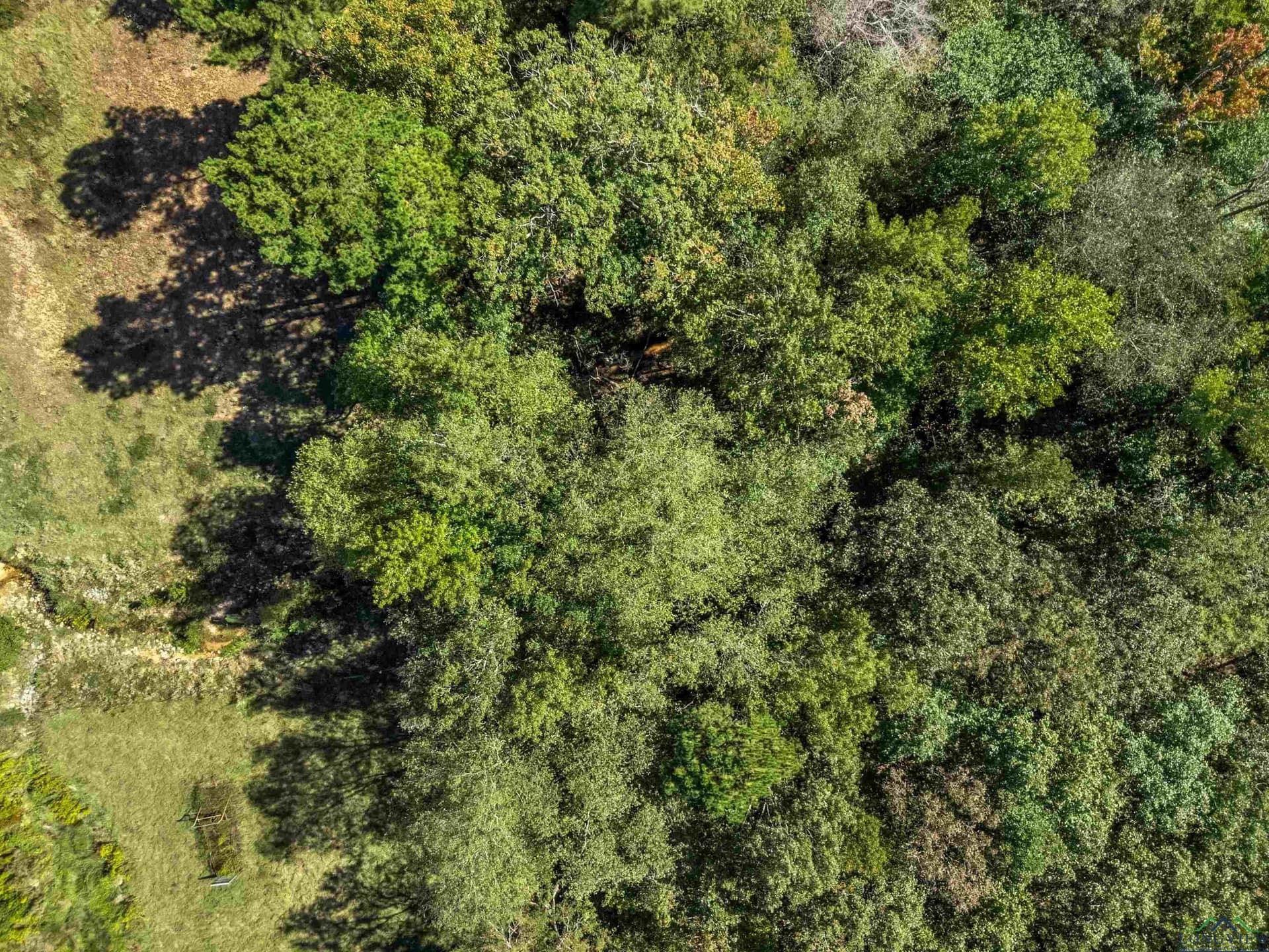 50 acres in Rusk County - photo 34