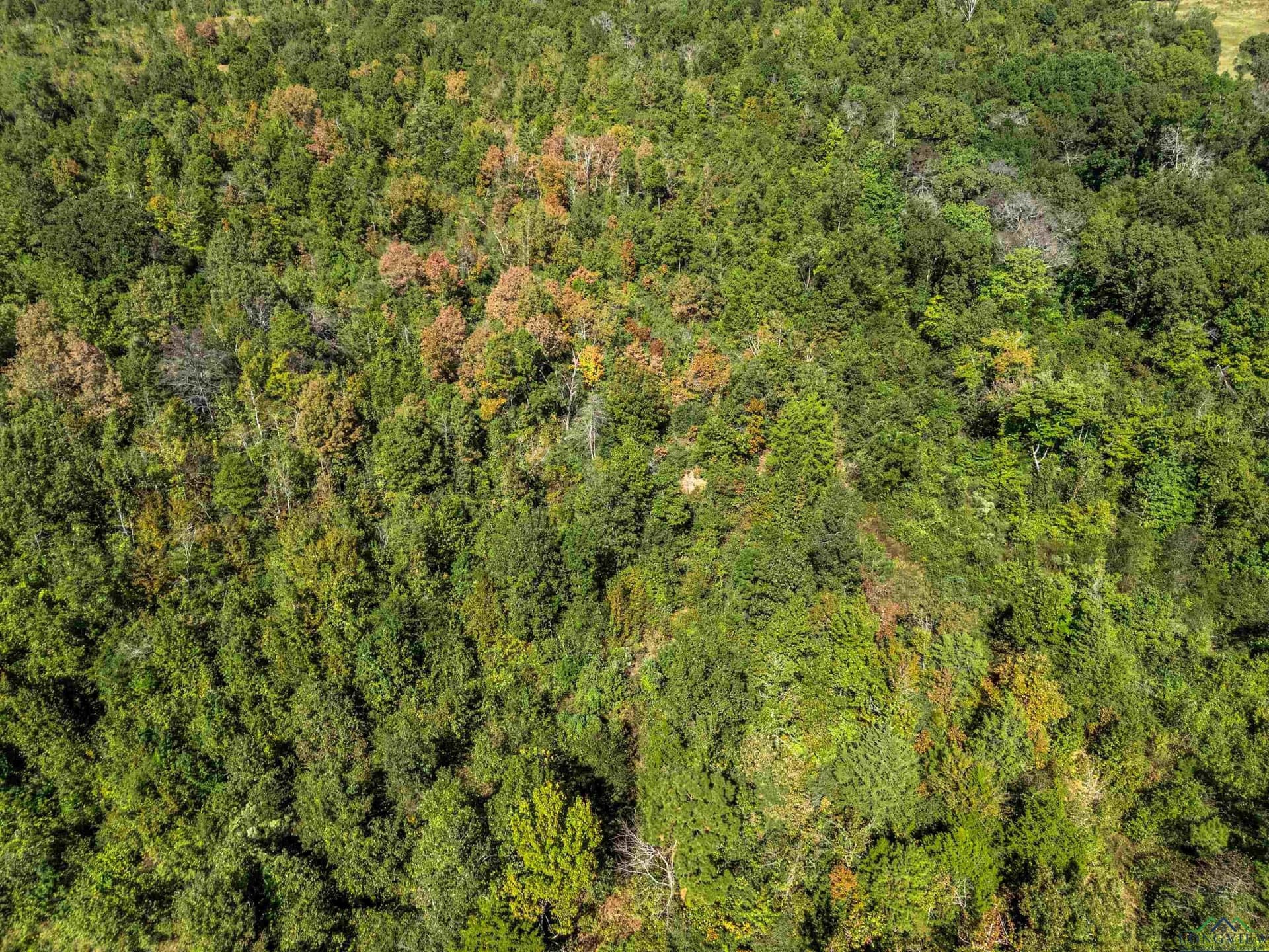 50 acres in Rusk County - photo 33