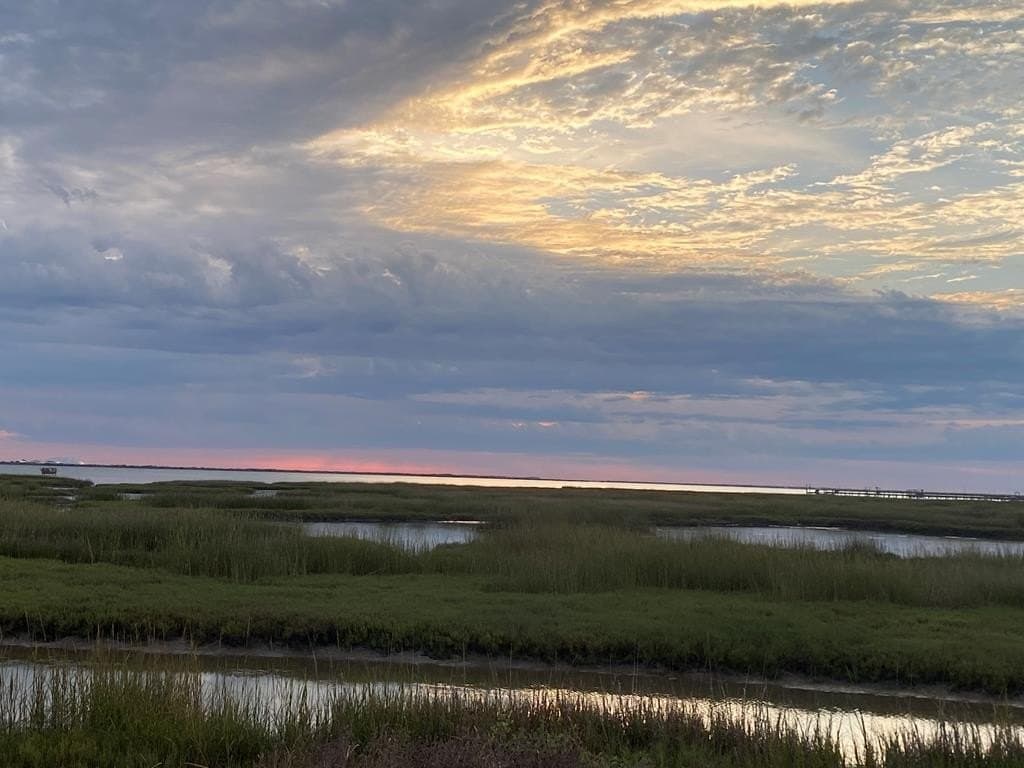 35 acres in Texas County - photo 9