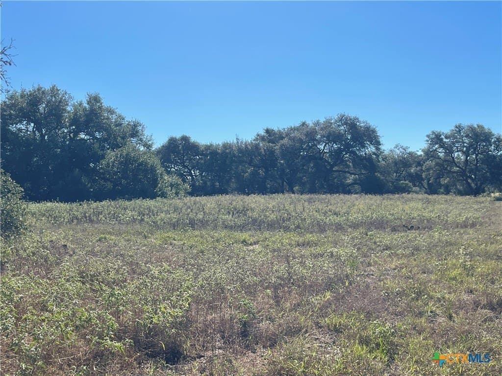 34.3 acres in DeWitt County - photo 30
