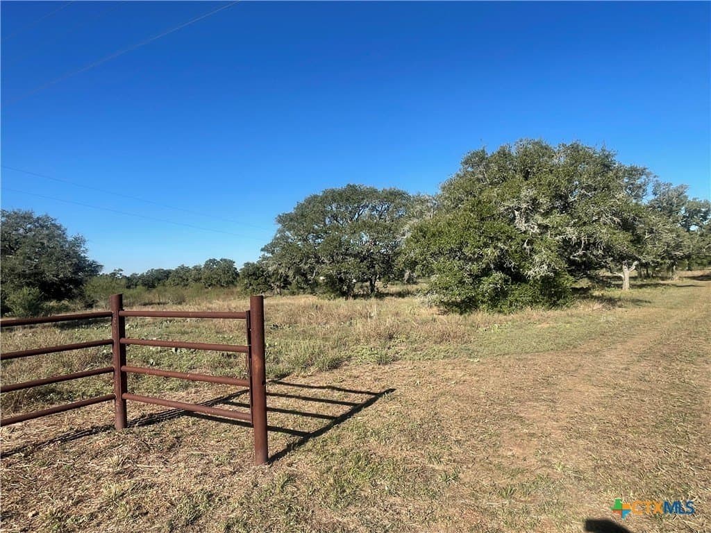 34.3 acres in DeWitt County - photo 3