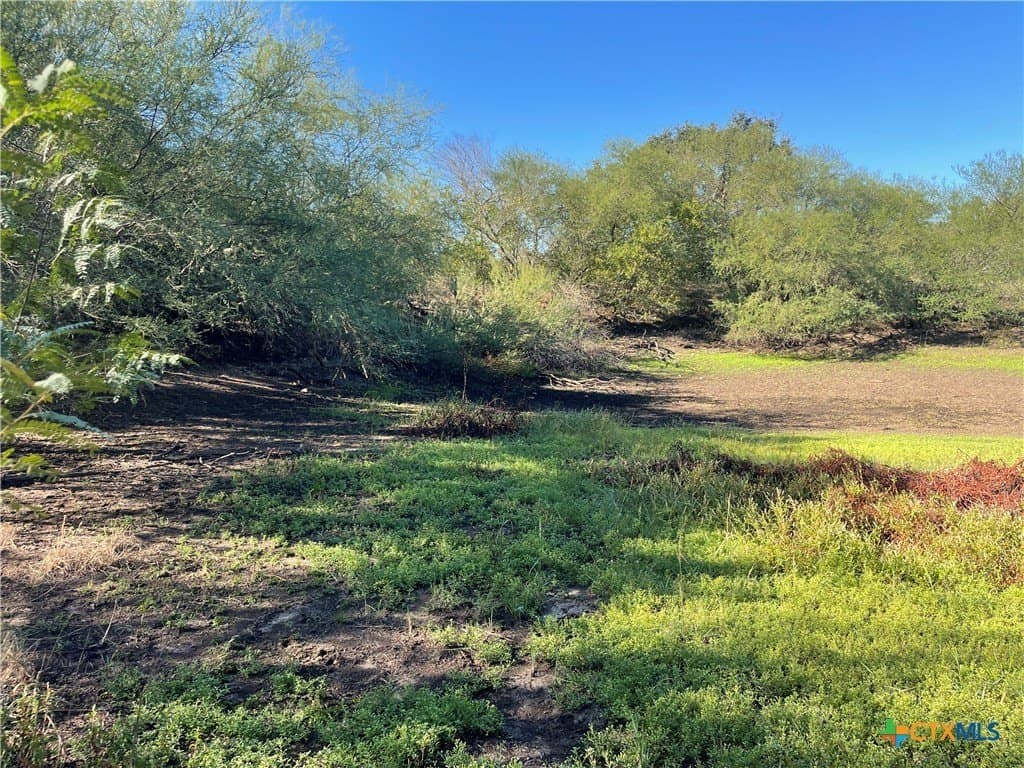 34.3 acres in DeWitt County - photo 28