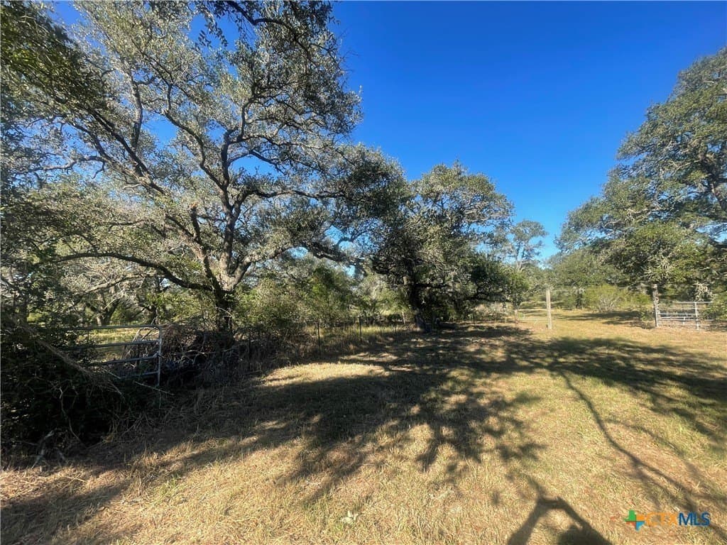 34.3 acres in DeWitt County - photo 7
