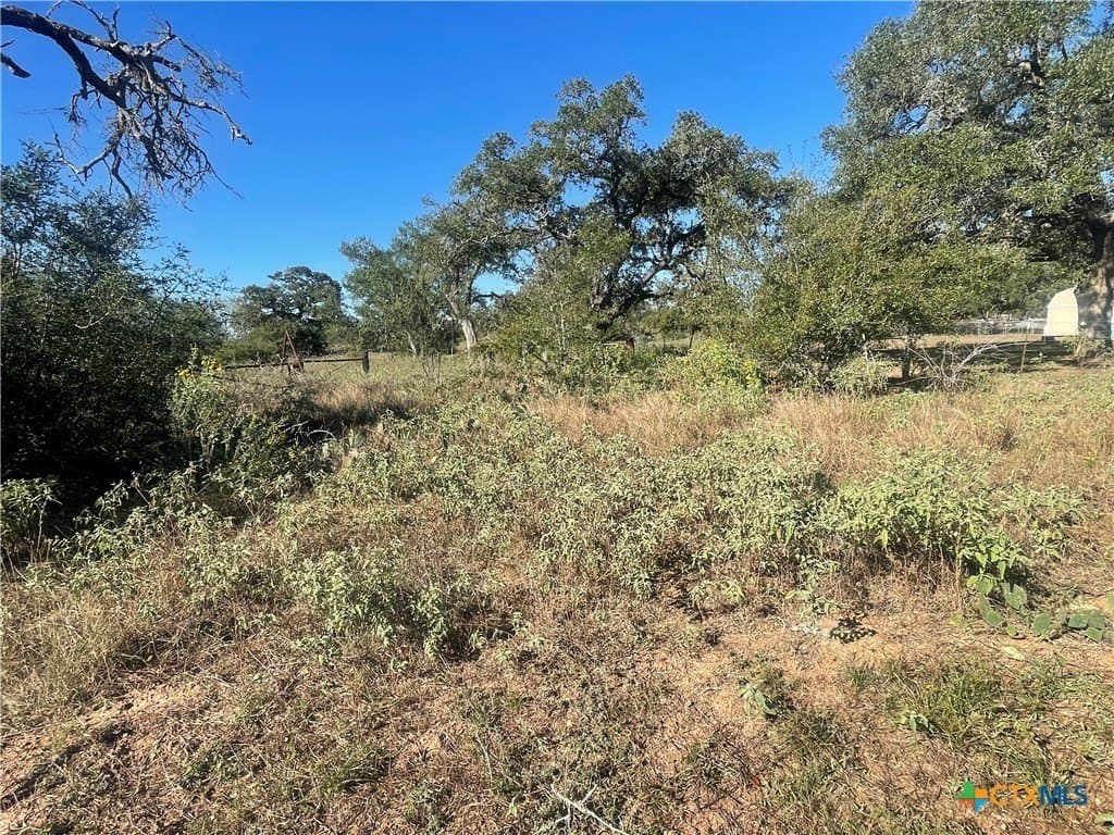 34.3 acres in DeWitt County - photo 19