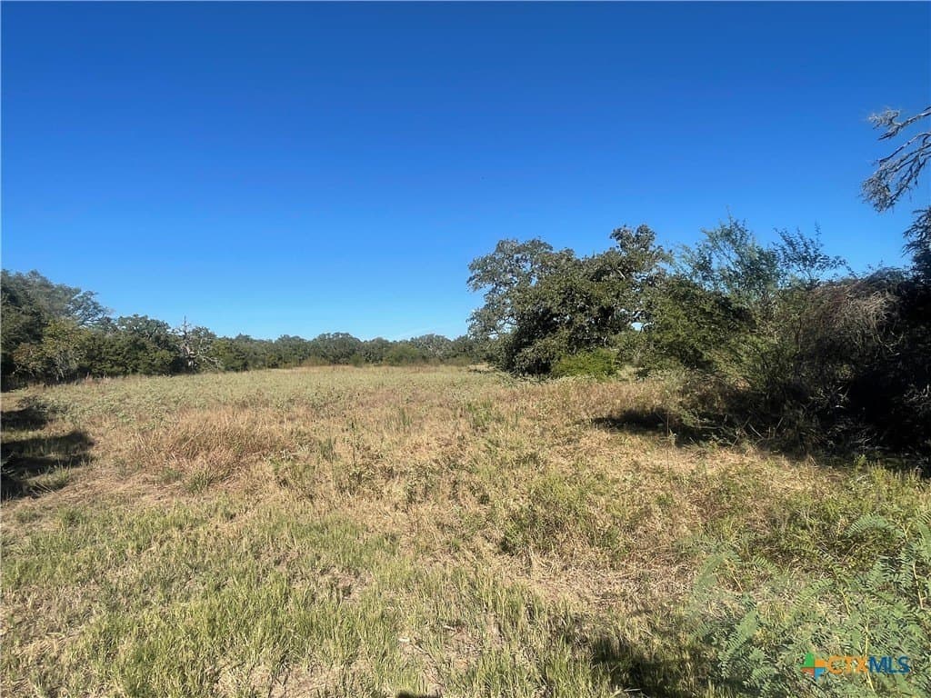 34.3 acres in DeWitt County - photo 15