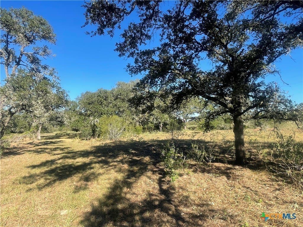 34.3 acres in DeWitt County - photo 9