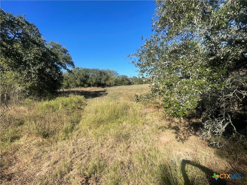34.3 acres in DeWitt County - photo 14