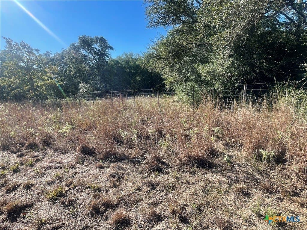 34.3 acres in DeWitt County - photo 18