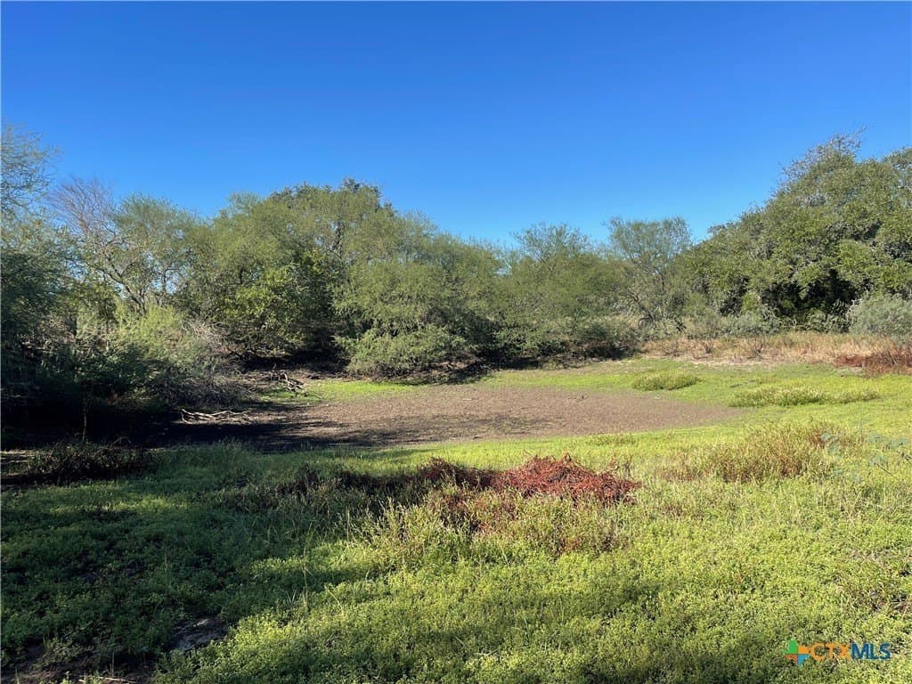 34.3 acres in DeWitt County - photo 27