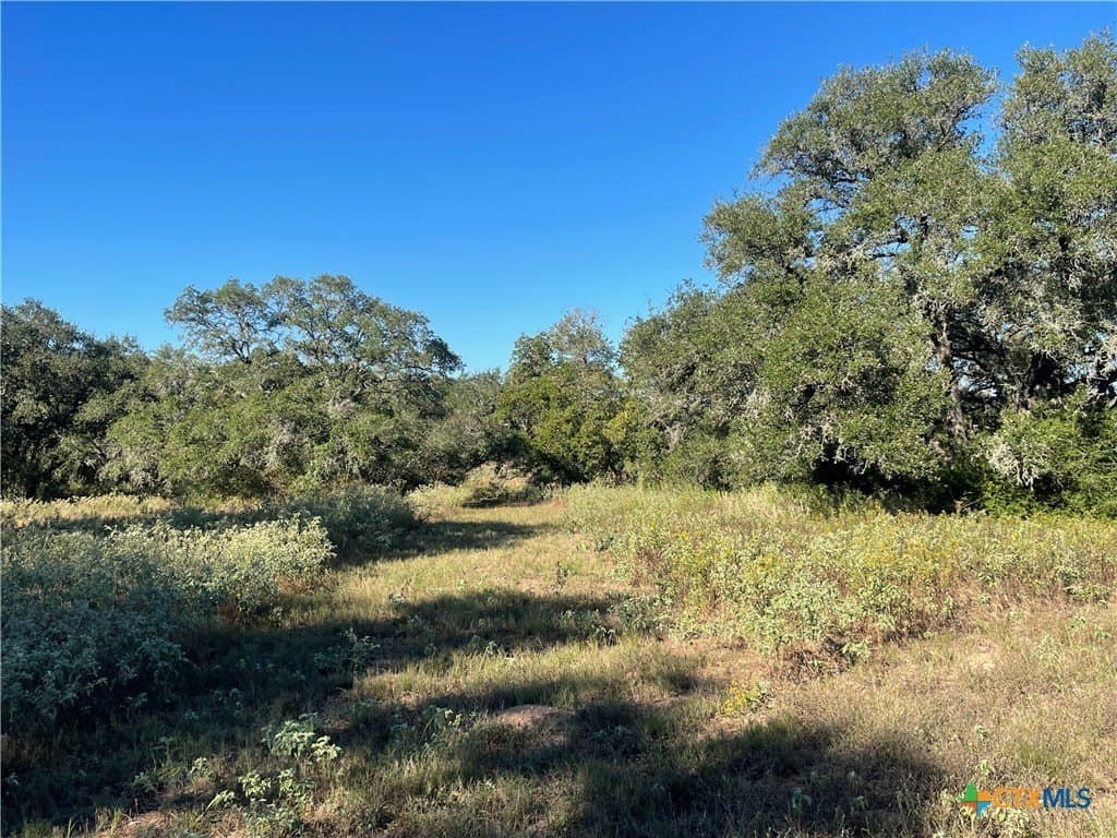 34.3 acres in DeWitt County - photo 11