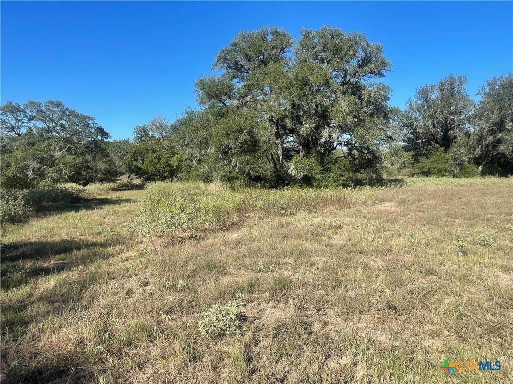 34.3 acres in DeWitt County - photo 29
