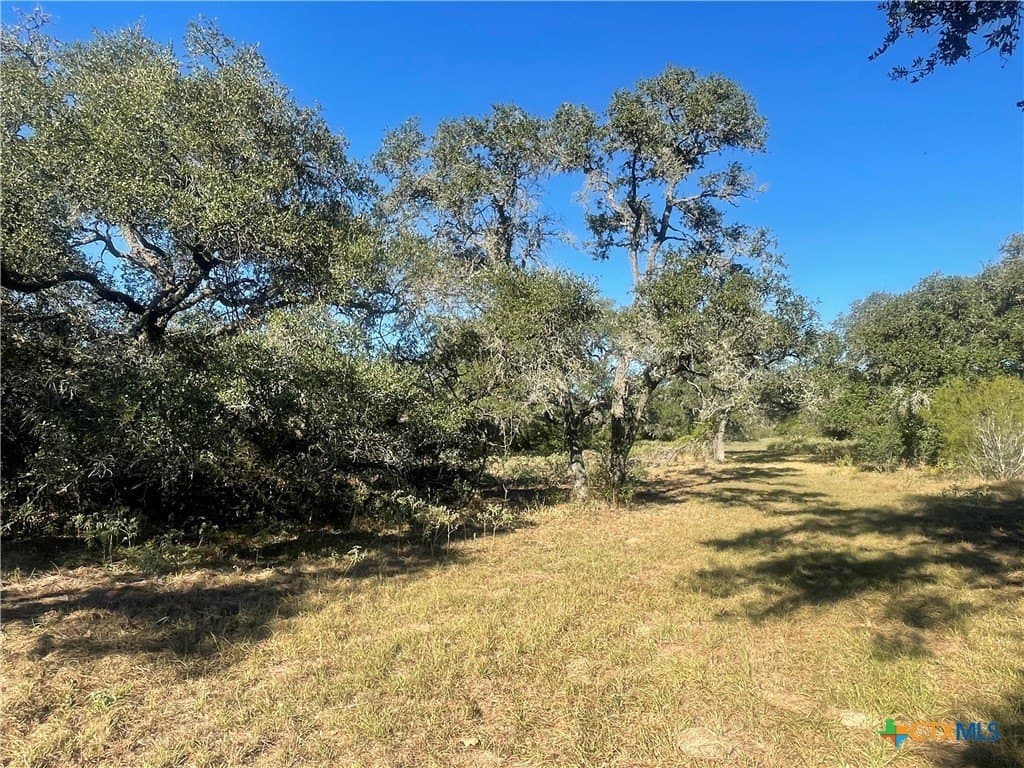 34.3 acres in DeWitt County - photo 8