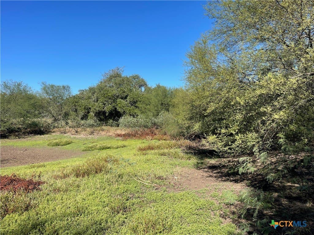 34.3 acres in DeWitt County - photo 24