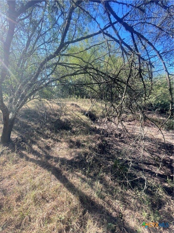 34.3 acres in DeWitt County - photo 26