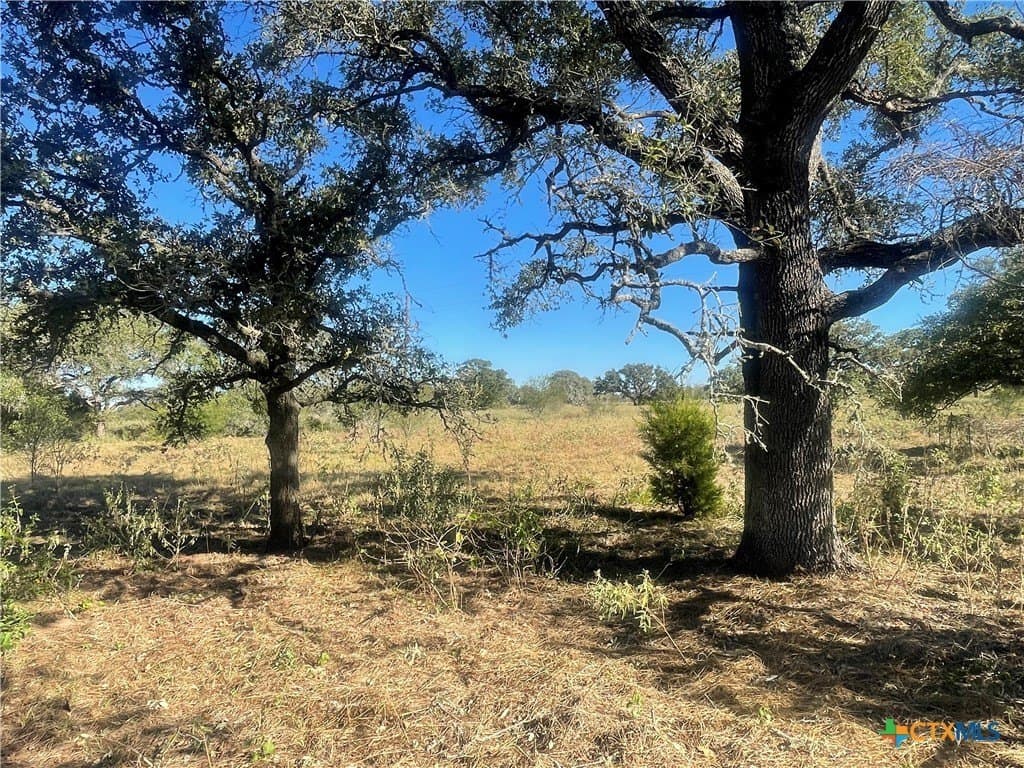 34.3 acres in DeWitt County - photo 10