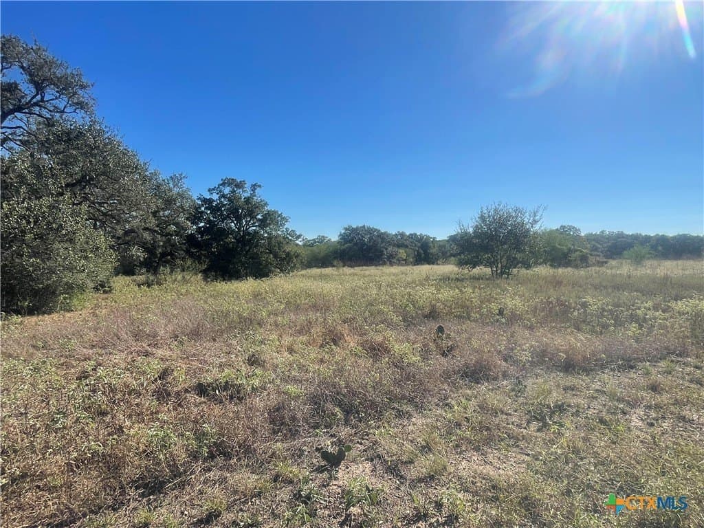 34.3 acres in DeWitt County - photo 17