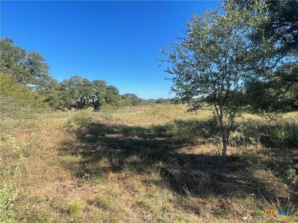 34.3 acres in DeWitt County - photo 20