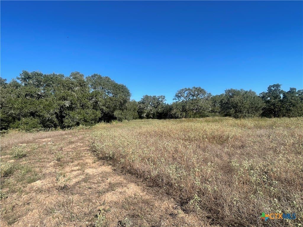 34.3 acres in DeWitt County - photo 16