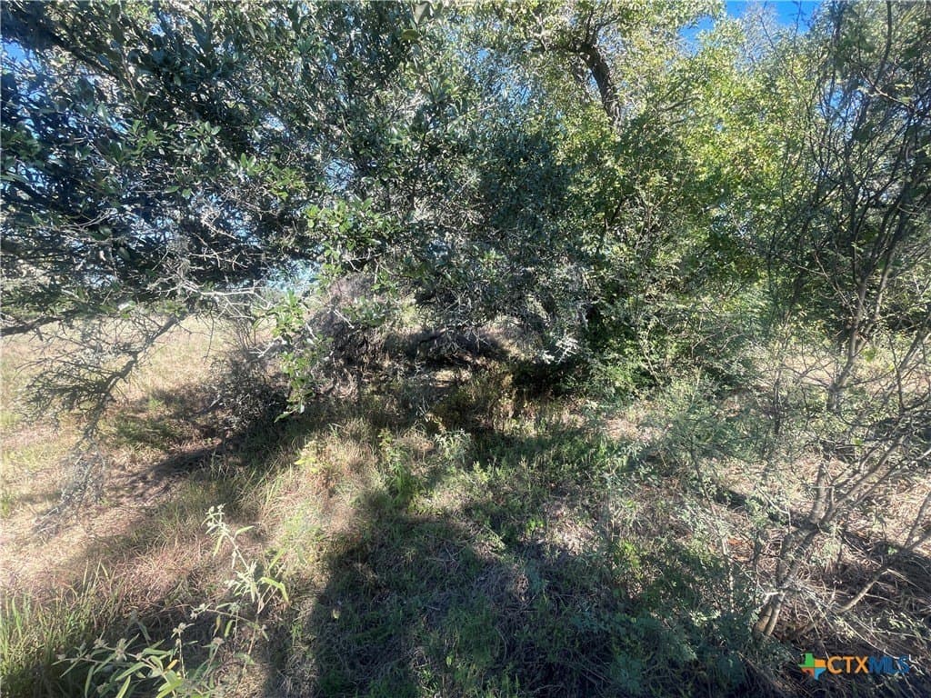 34.3 acres in DeWitt County - photo 13