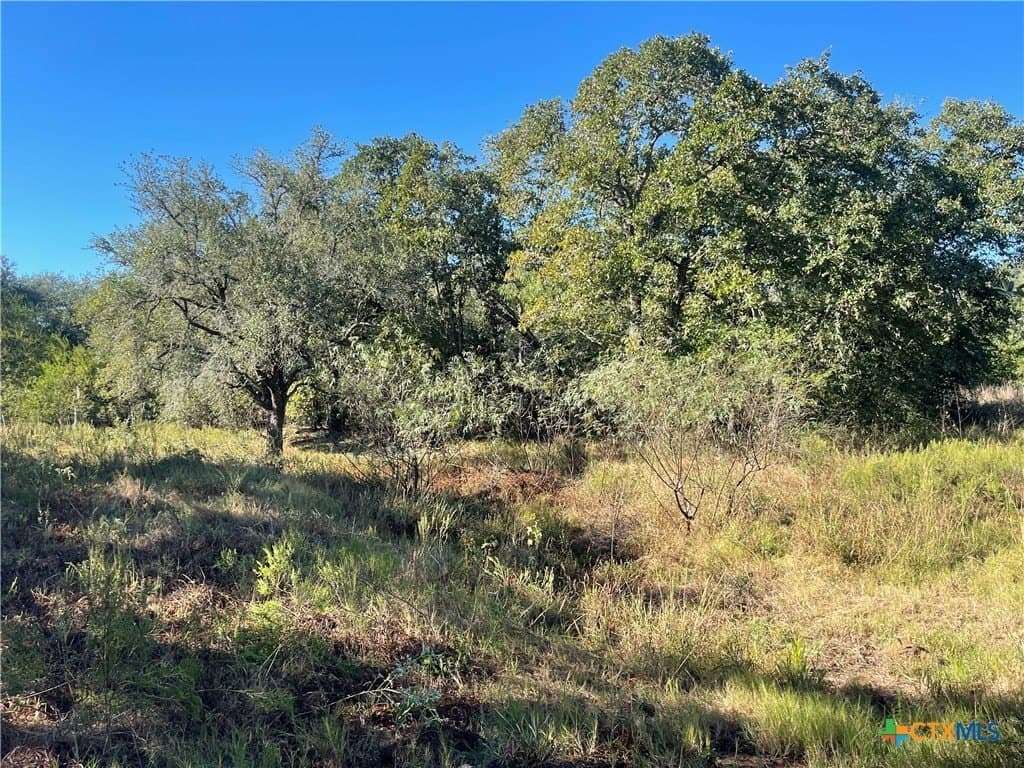 34.3 acres in DeWitt County - photo 12