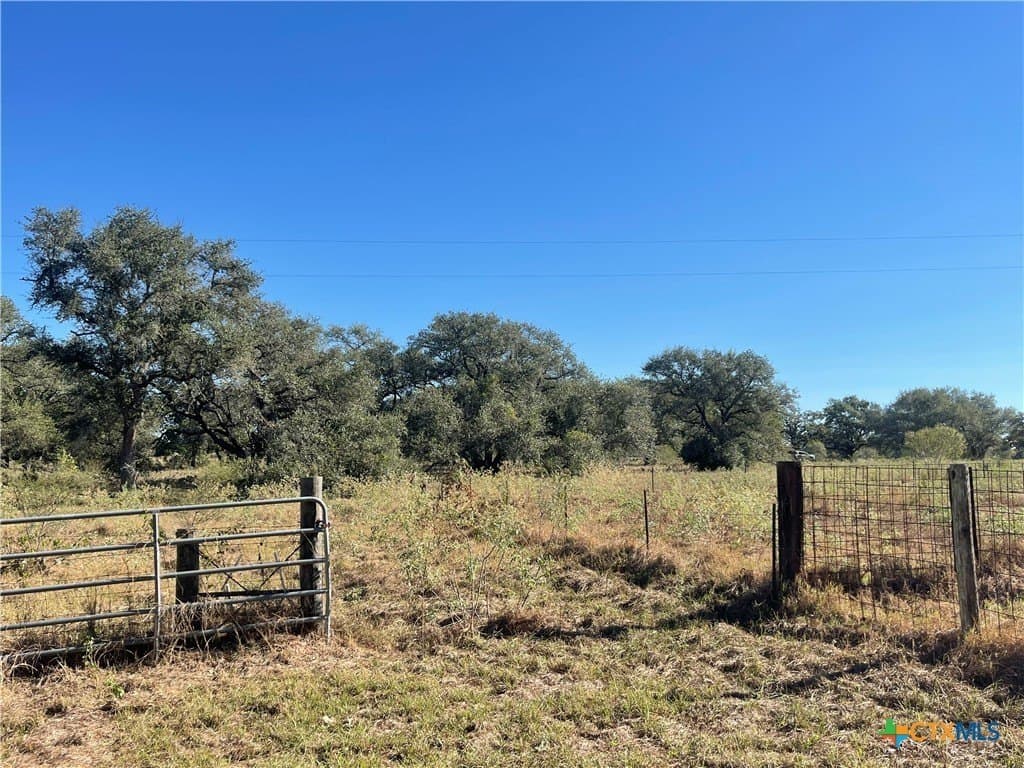 34.3 acres in DeWitt County - photo 6