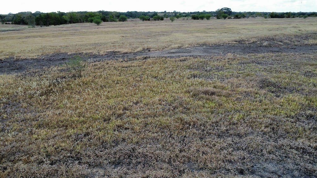 10.81 acres in Colorado County - photo 18