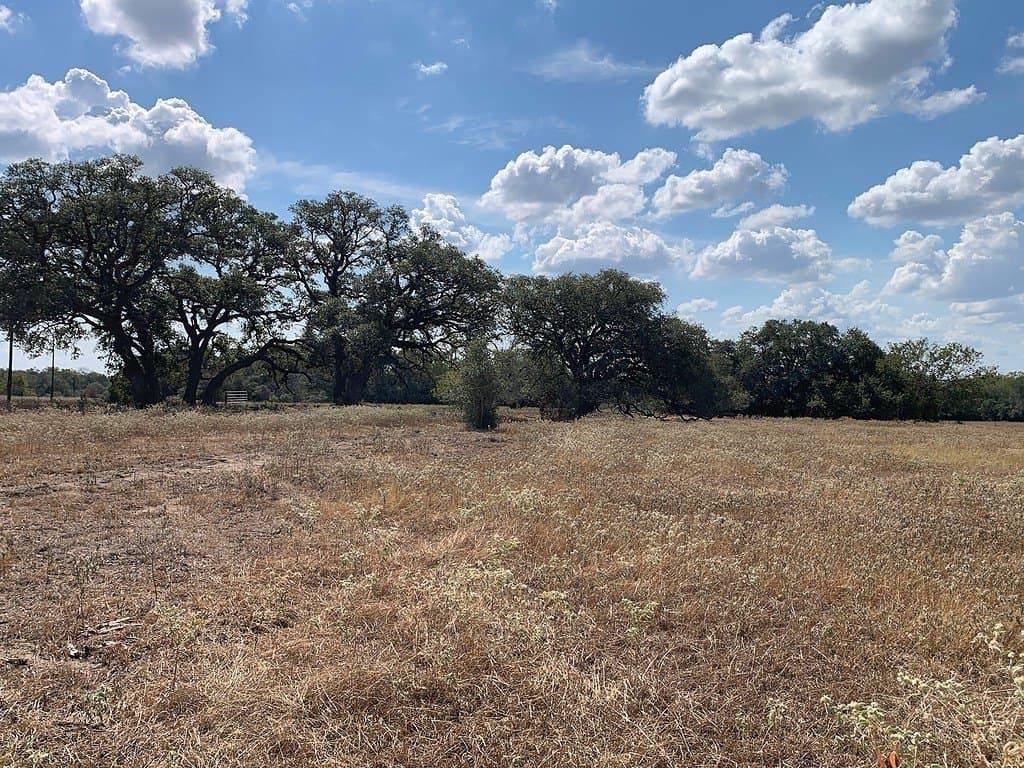 10.81 acres in Colorado County - photo 4