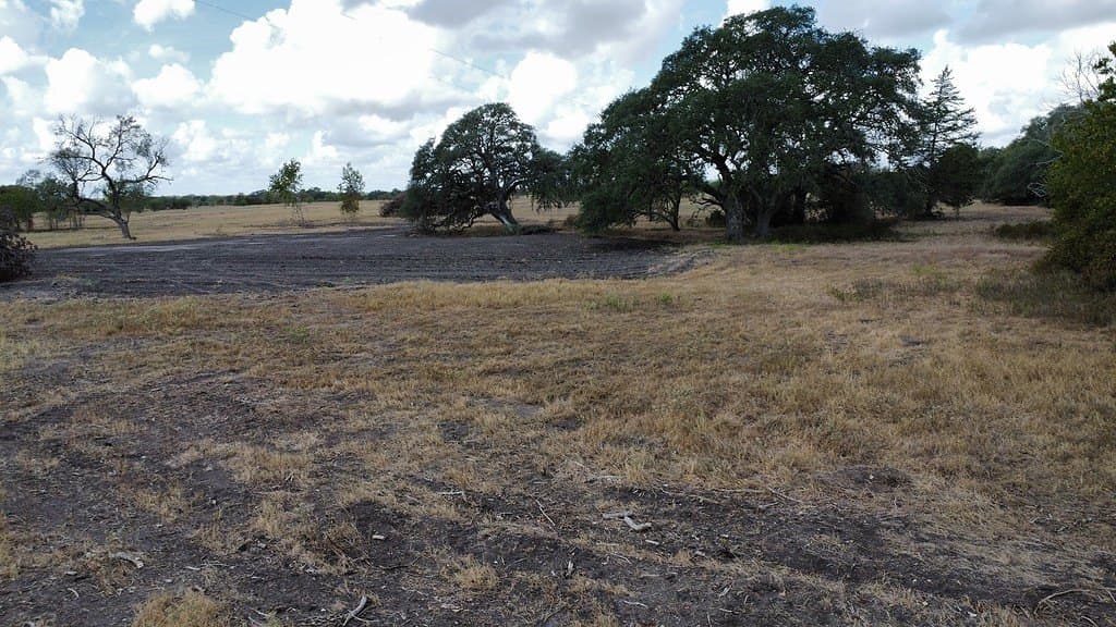 10.81 acres in Colorado County - photo 10