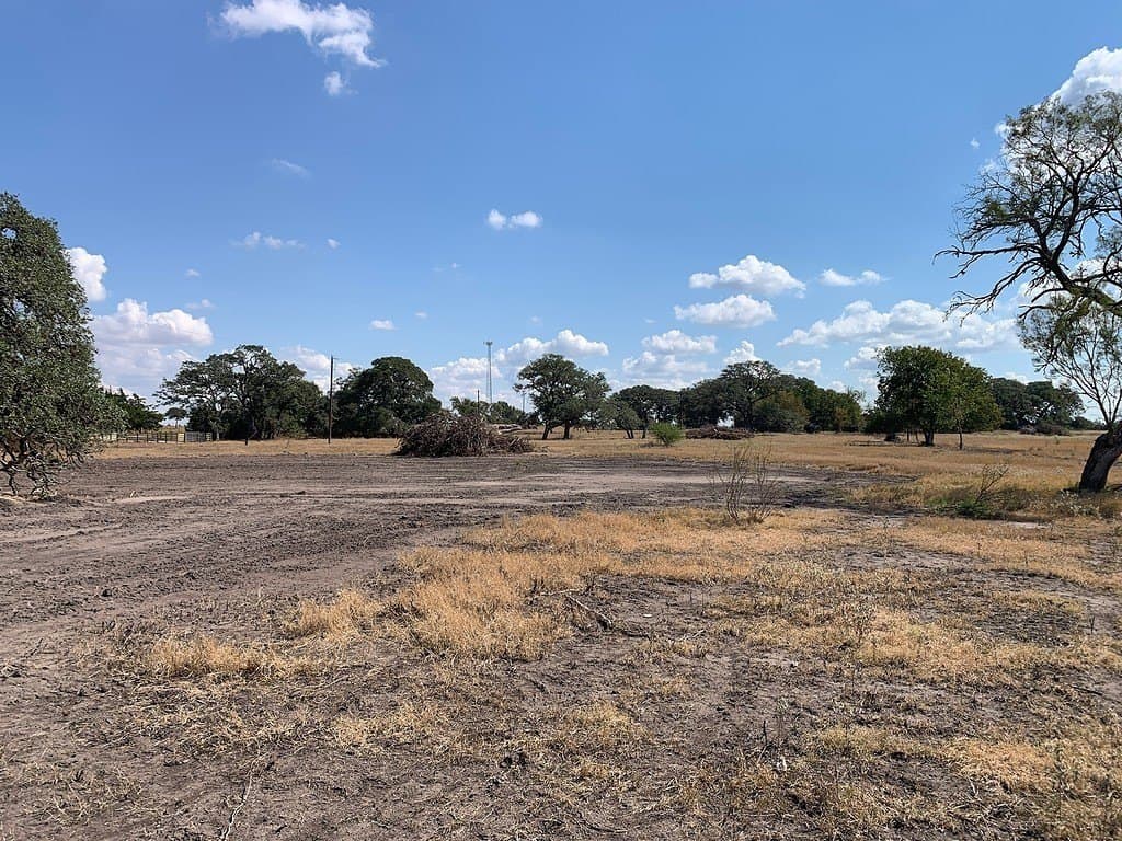 10.81 acres in Colorado County - photo 14