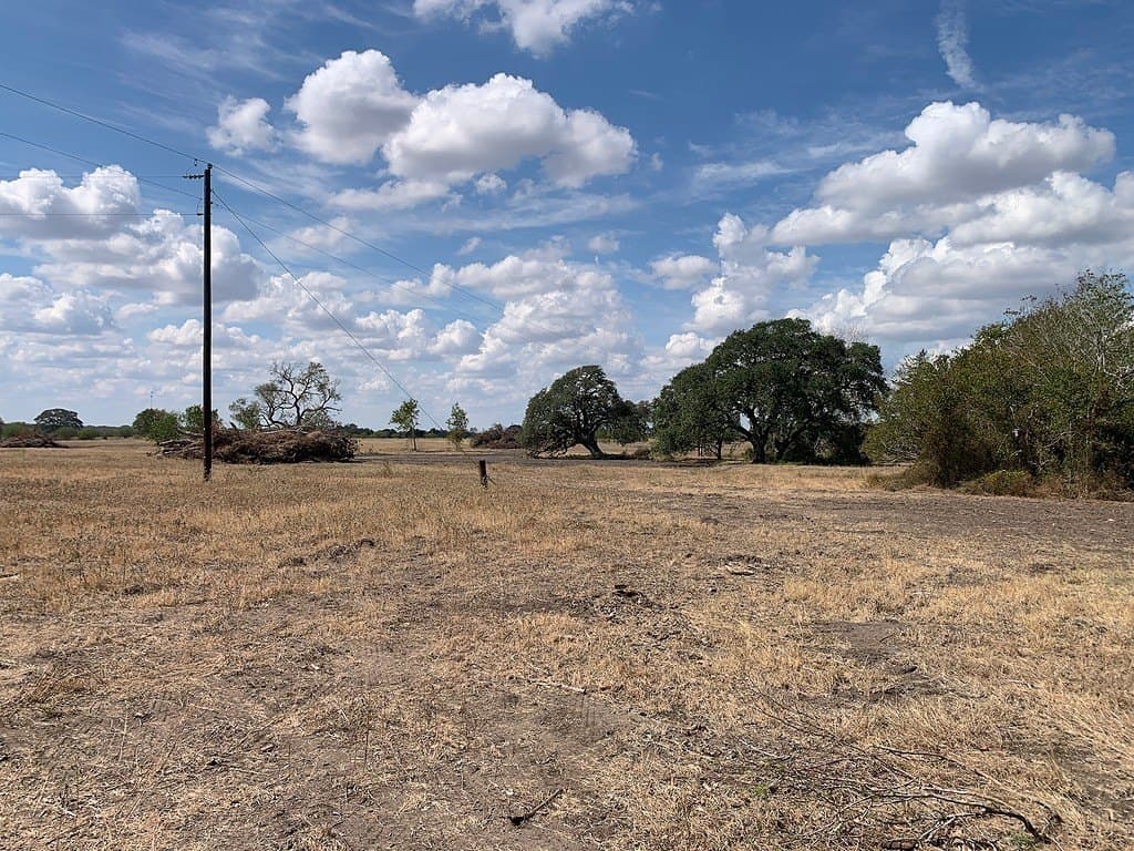 10.81 acres in Colorado County - photo 16