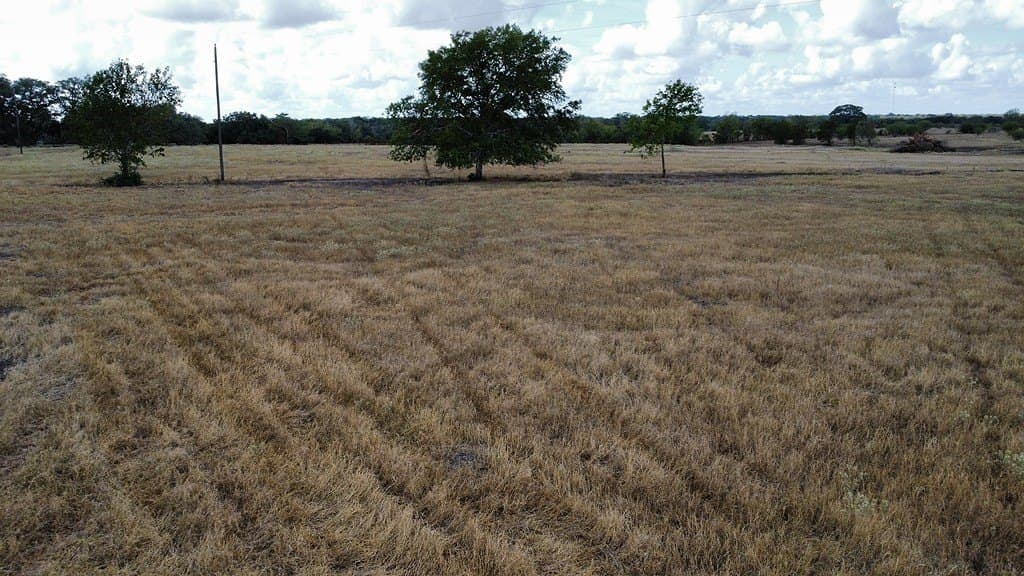 10.81 acres in Colorado County - photo 17