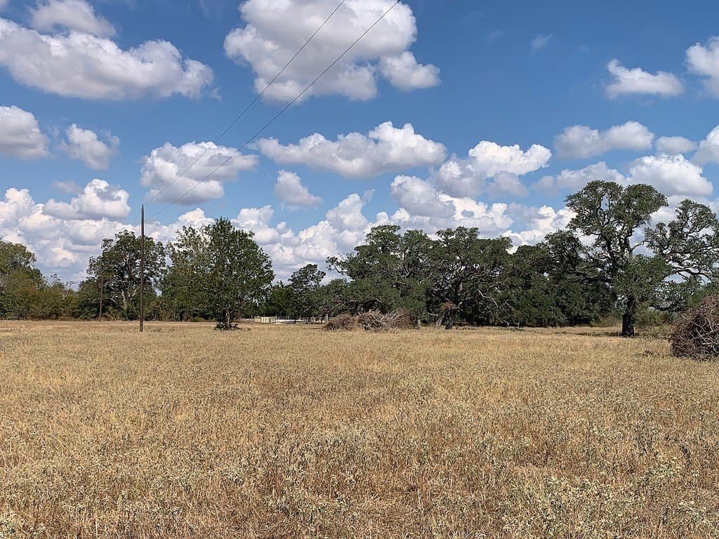 10.81 acres in Colorado County - photo 11
