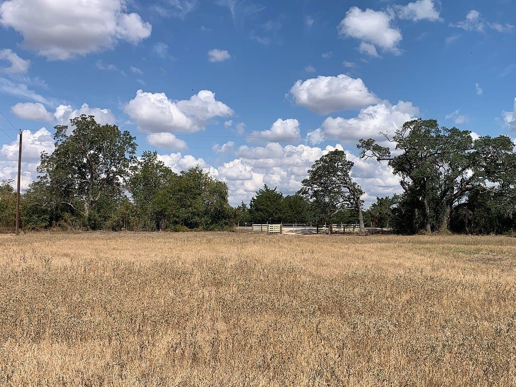 10.81 acres in Colorado County - photo 6