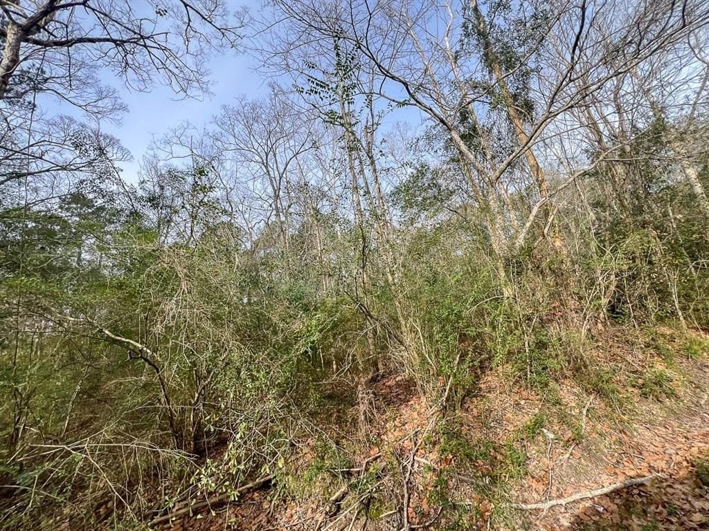 9 acres in Hardin County - photo 4