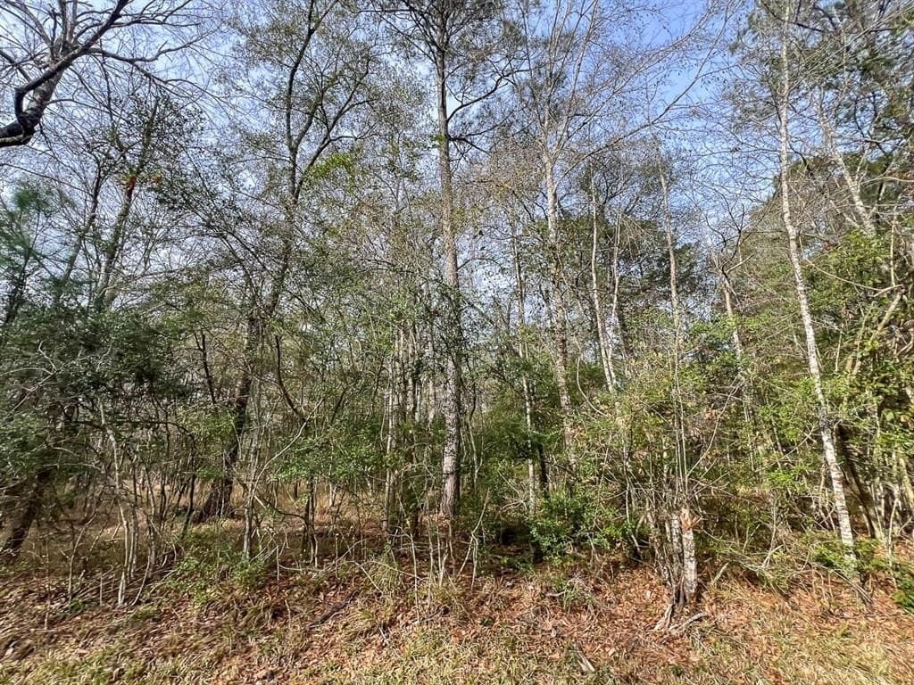 9 acres in Hardin County - photo 3