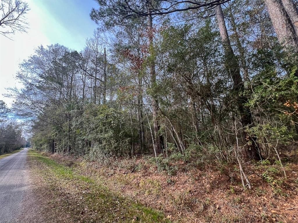 9 acres in Hardin County - photo 7