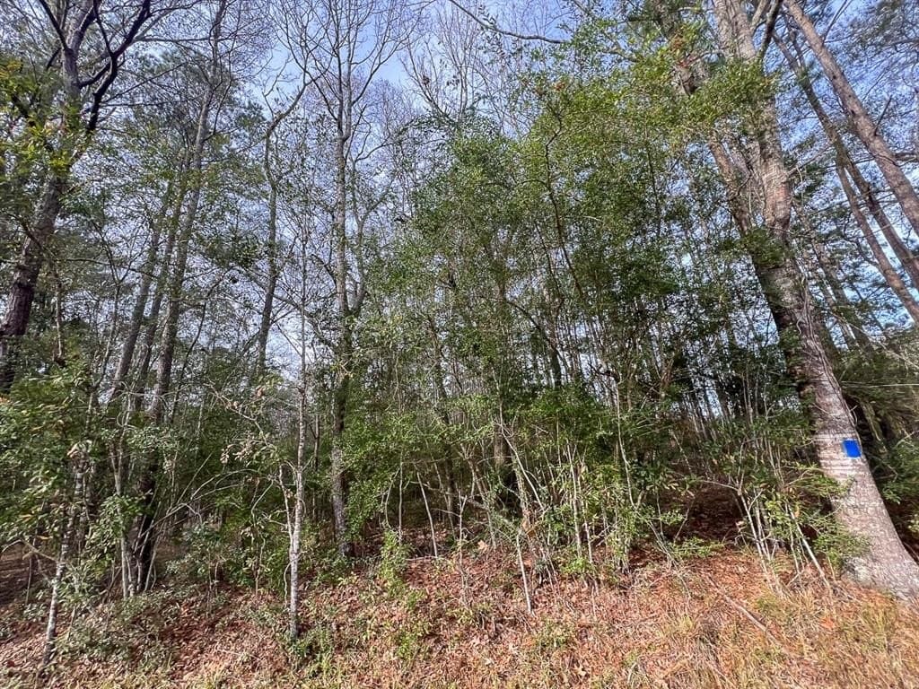9 acres in Hardin County - photo 6