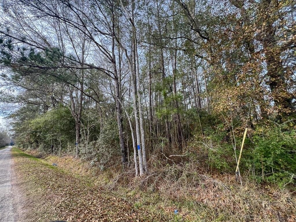 9 acres in Hardin County - photo 5