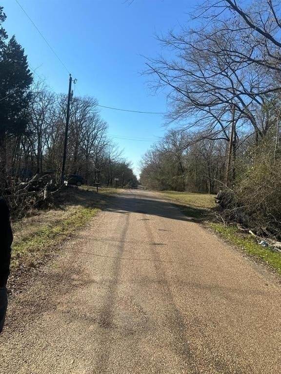 0.11 acres in Henderson County - photo 3