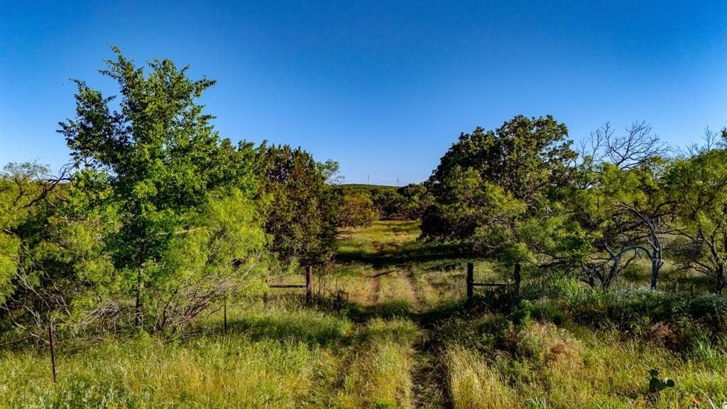 156.43 acres in Jack County - photo 2