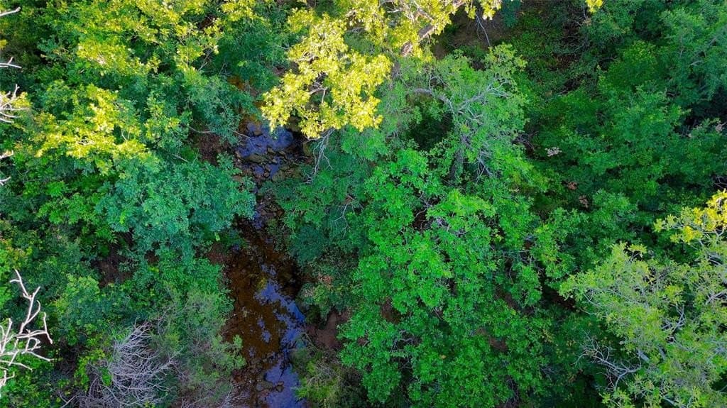 156.43 acres in Jack County - photo 13