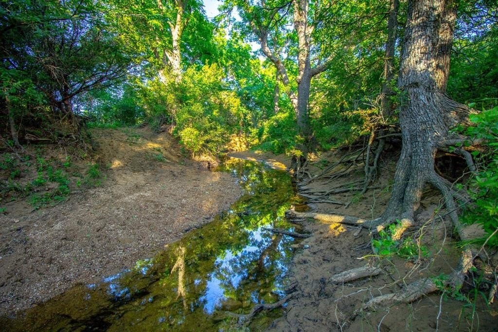 156.43 acres in Jack County - photo 16