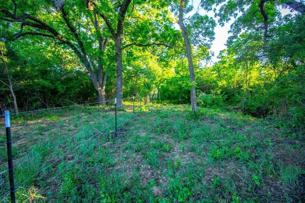 156.43 acres in Jack County - photo 14