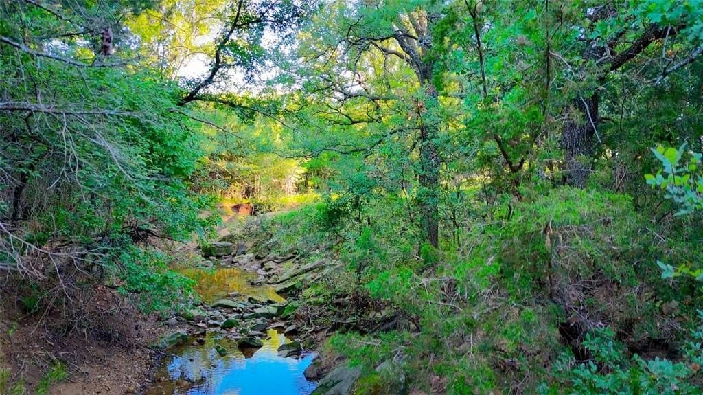 156.43 acres in Jack County - photo 15