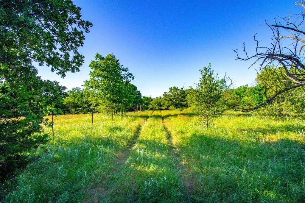 156.43 acres in Jack County - photo 8